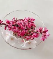 まさこ