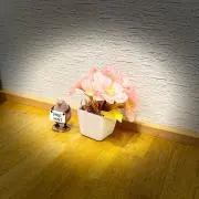まるの画像