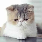 うみ