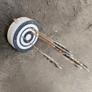 とっしーの画像