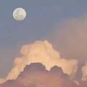 てつの画像
