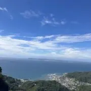 テハクセンの画像
