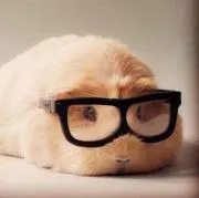 まぁちゃん