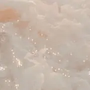 めるしの画像