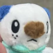 ミジの画像