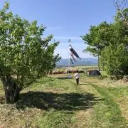 yaeの画像