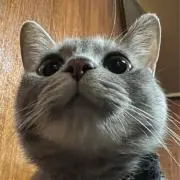 まぁ