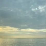 ナサの画像