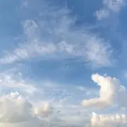 kuroの画像