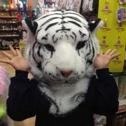 たけ