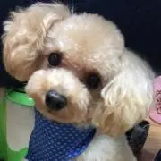 まりちん