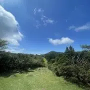 ミカさんの画像