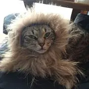 べーこん