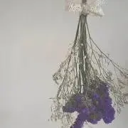 kikiの画像