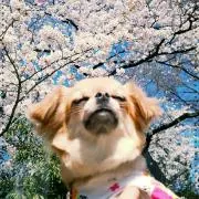 ♡プロフ必読♡まめたろう