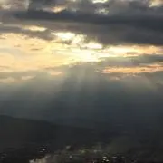 ましゅの画像