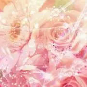 PINKの画像
