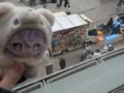 せんべいの画像