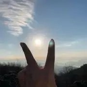 seaの画像