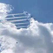 やっちんらの画像