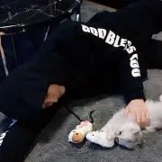 さやっぷるの画像