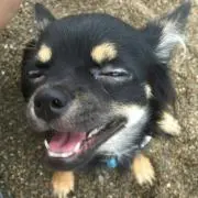 ゆう