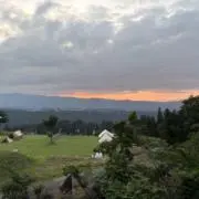トラちゃん 毎日発送中！の画像