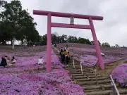 のんびりの画像