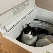 みさき