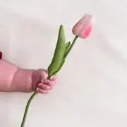 ぷう子の画像