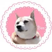 みい