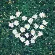 y.sの画像