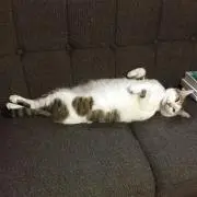 773の画像