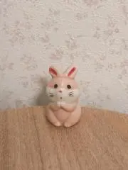 しぃ☆の画像