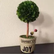 ktyの画像