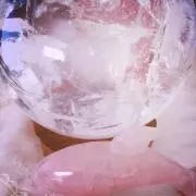 ミカンの画像