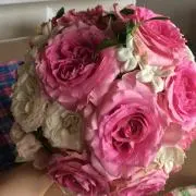 たらちゃんの画像