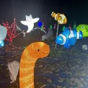 きいろの画像