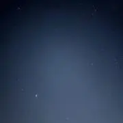 トンテキの画像
