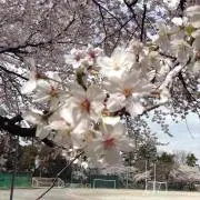 Taka