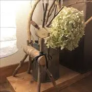 恵の画像
