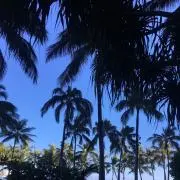 mino'akaの画像