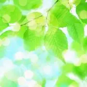みふの画像
