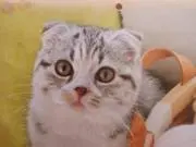 TuNaの画像