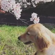 8の画像