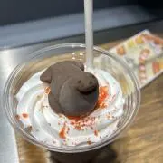 たぬきの画像
