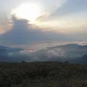 マイルドの画像