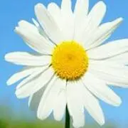 ろん