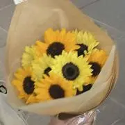 puaの画像