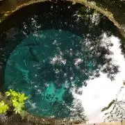 にょろの画像
